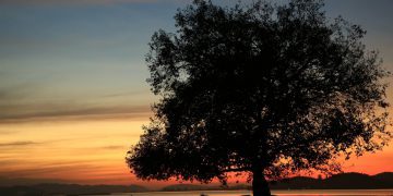 10 ngày cắm trại từ TP HCM đến Đà Nẵng