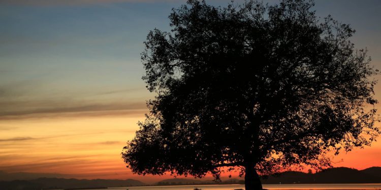 10 ngày cắm trại từ TP HCM đến Đà Nẵng