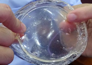 Học sinh cấp 3 làm nhựa sinh học từ bột khoai tây