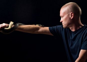 Người đàn ông để rắn độc cắn hơn 200 lần