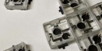 Pin sinh học tạo ra điện nhờ 3 loại vi khuẩn