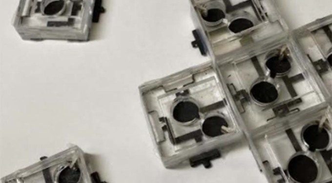 Pin sinh học tạo ra điện nhờ 3 loại vi khuẩn