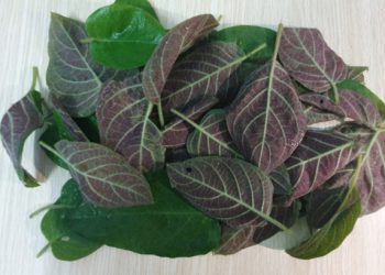 Hai vị thuốc dân gian chữa táo bón