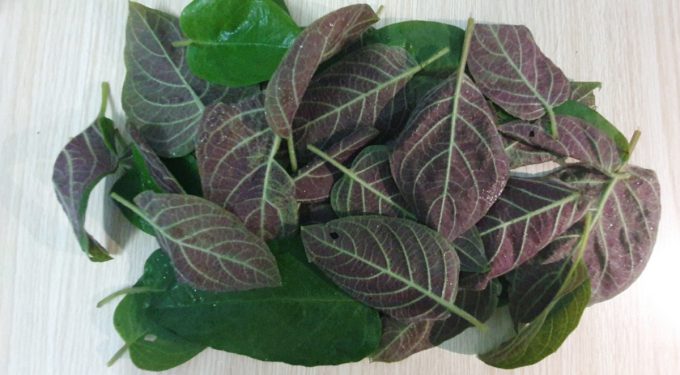 Hai vị thuốc dân gian chữa táo bón