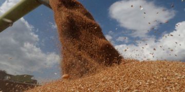 Xung đột Ukraine thổi lửa khủng hoảng lương thực toàn cầu