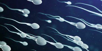 Làm bố ở độ tuổi nào tốt nhất?