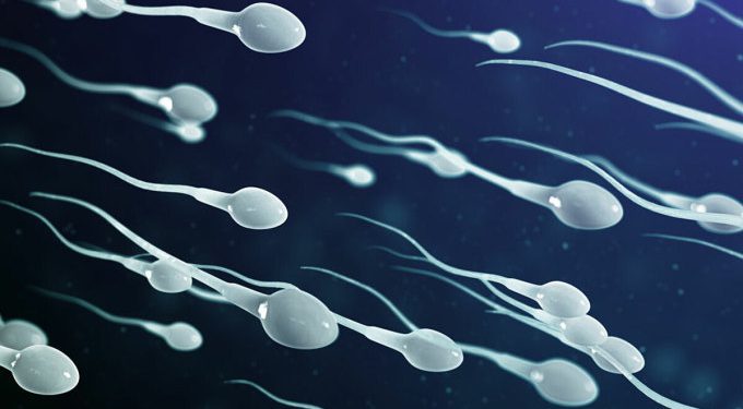 Làm bố ở độ tuổi nào tốt nhất?