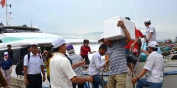 Du khách đưa hàng hóa từ Lý Sơn vào đất liền ở cảng Sa Kỳ. Ảnh: Phạm Linh