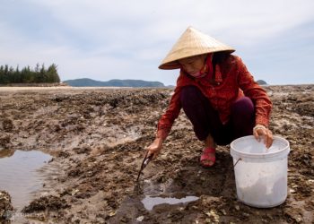 Bà Hiên với hơn 30 năm mưu sinh nhờ nghề ăn hàu. Ảnh: Hoàng Táo