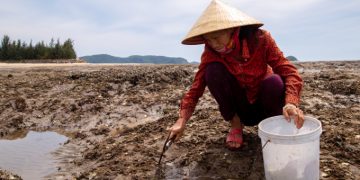 Bà Hiên với hơn 30 năm mưu sinh nhờ nghề ăn hàu. Ảnh: Hoàng Táo