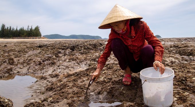 Bà Hiên với hơn 30 năm mưu sinh nhờ nghề ăn hàu. Ảnh: Hoàng Táo